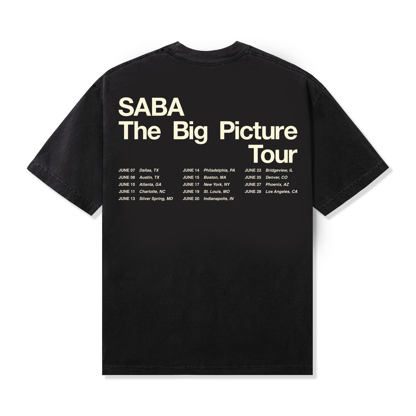 Big Picture Tour Tee